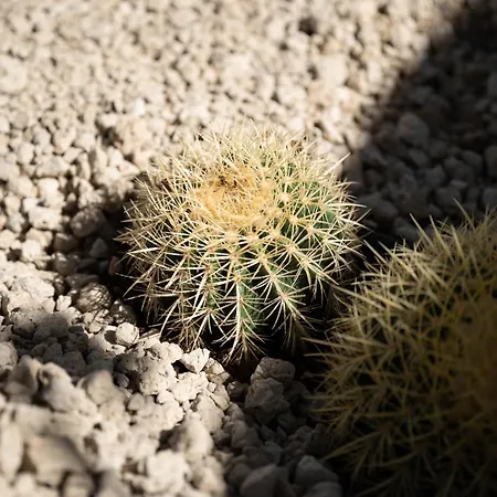 Oasis El Sauzal - Con Piscina Y Encanto Casa vacanze