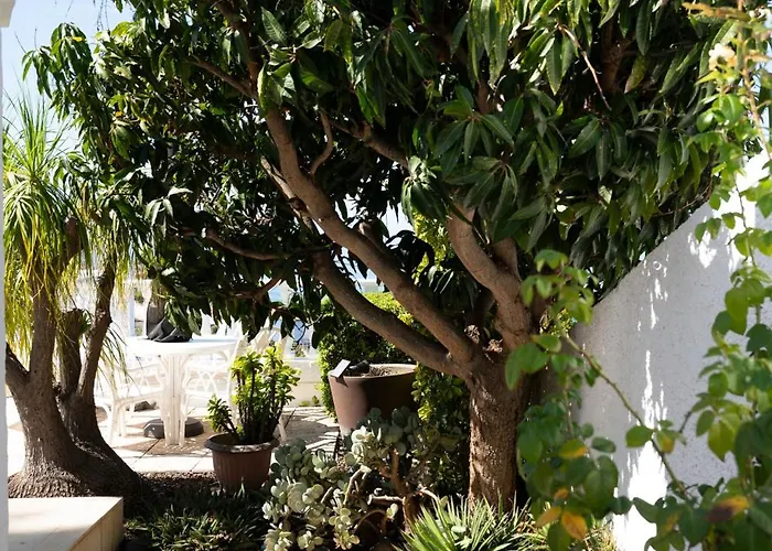 Oasis El Sauzal - Con Piscina Y Encanto Σπίτι διακοπών Puntillo Del Sol