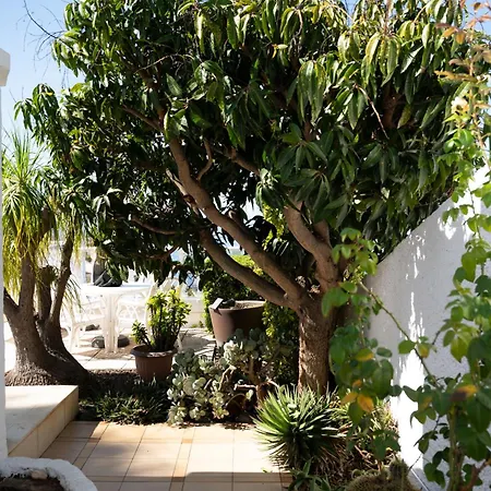 Oasis El Sauzal - Con Piscina Y Encanto 펜션 Puntillo Del Sol